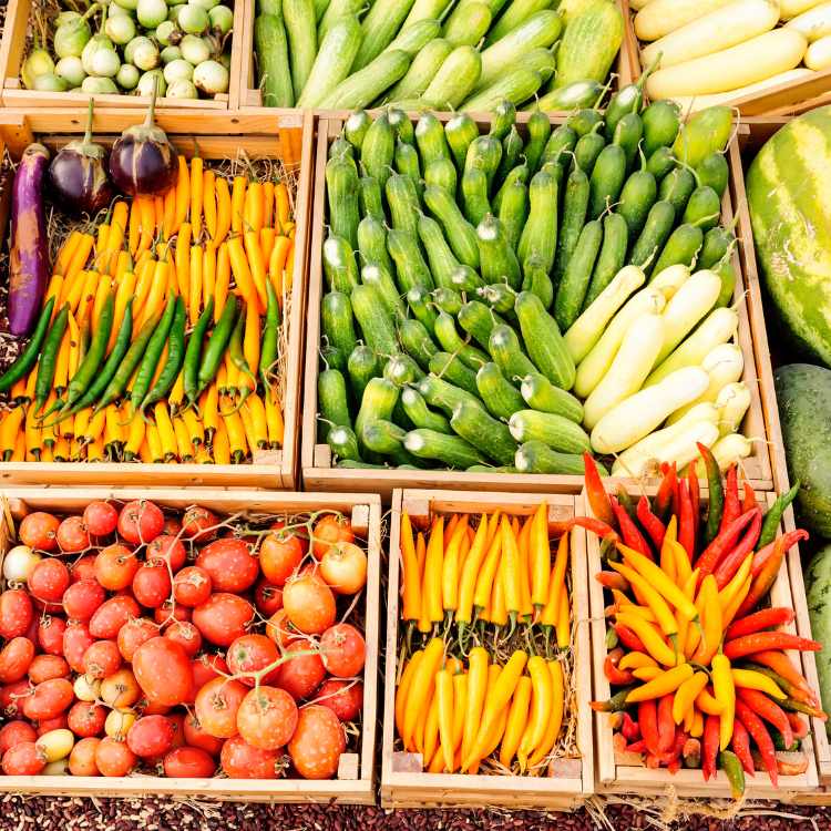Agri-Products & Food